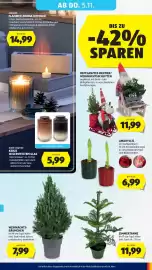 Hofer Flugblatt Seite 43: Ambianu Flammen Aroma Diffuser €14,99, Amaryllis €6,99