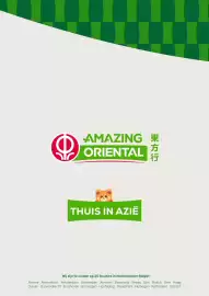 Amazing Oriëntal folder Pagina 51