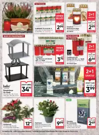 Maximarkt (gültig bis 4-11)