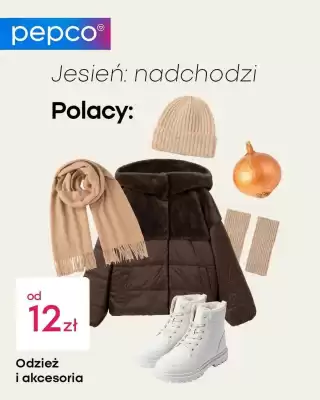 Pepco gazetka (ważność do 10-11)