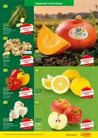 Netto Marken-Discount Prospekt woche 45 Seite 9: Bio Paprika Mix €6,23, Bio Zitronen €4,38