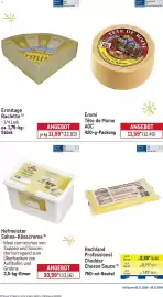 METRO Prospekt Seite 8: Hochland Professional Cheddar Cheese Sauce €5,99, Hofmeister Sahne-Käsecreme €30,99