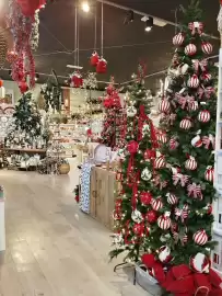 Volantino Bernava Pagina 1