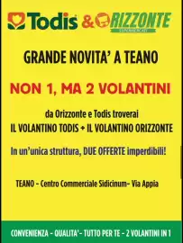 Volantino Orizzonte Supermercati Pagina 11