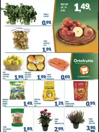Volantino Orizzonte Supermercati Pagina 5: Fatina noci sgusciate €1,89, Pianta rosa €2,99