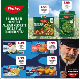 Volantino Basko Pagina 10: Findus 5 Fiori di Nasello €4,49, Findus 2 burger di salmone €3,99