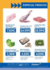 Folleto Dialsur Cash & Carry semana 44 Página 2: Secreto cerdo extratierno €7,69, Origen - canónigos tarrina €4,69