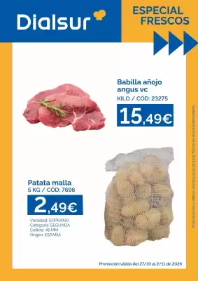 Dialsur Cash & Carry (válido hasta el 2-11)