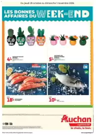 Auchan folder Pagina 2