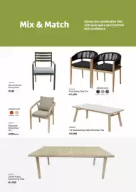 Ace catalogue Page 31