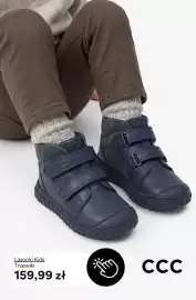 CCC gazetka Strona 7