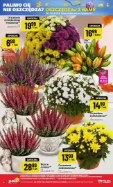 Polomarket gazetka tydzień 44 Strona 4: Chryzantema drobnokwiatowa €14,99, Wrzos w ceramice €28,99