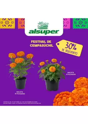 Folleto Alsuper (válido hasta 2-11)