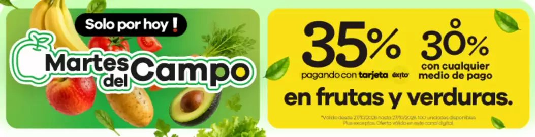 Catálogo Éxito Página 1