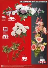 Kaufland gazetka tydzień 44 Strona 19