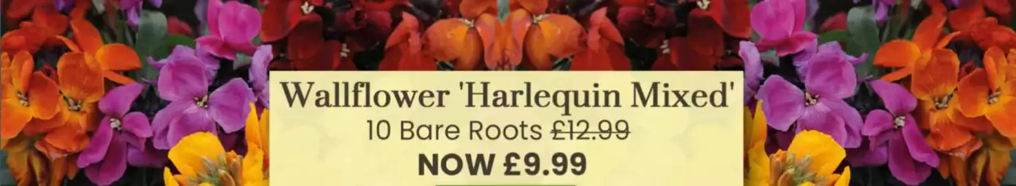 Dobbies catalogue Page 1