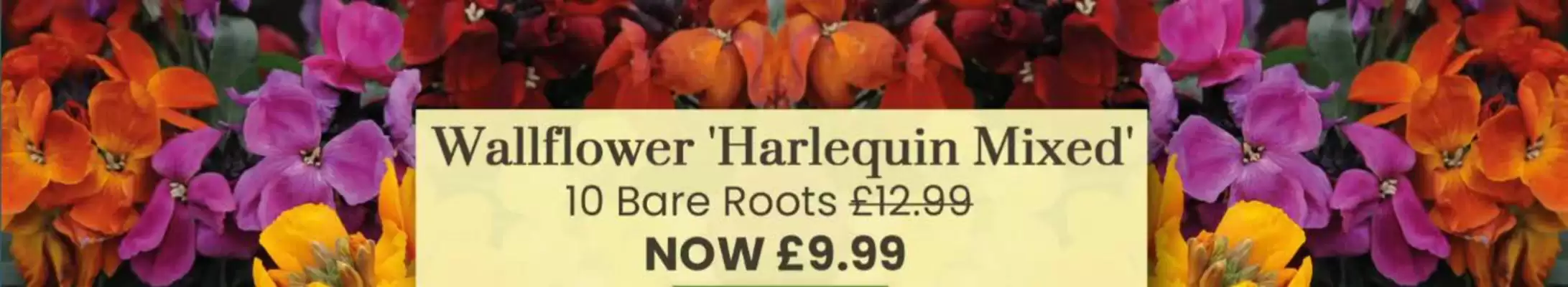 Dobbies (valid until 4-11)