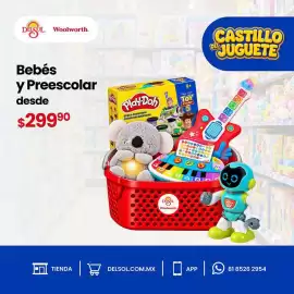 Folleto DelSol Página 1