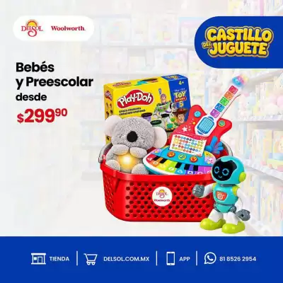 Folleto DelSol (válido hasta 31-10)
