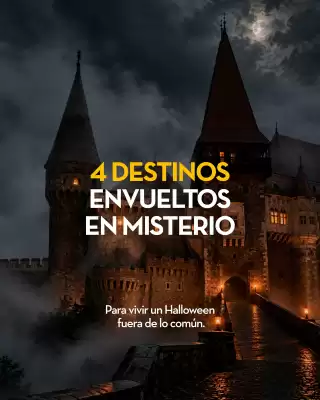 Viajes Palacio (válido hasta 8-11)