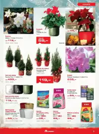 Uni Hobby leták Strana 3: Stromky živé zdobené €119,00, Brambořík Cyclamen €59,00