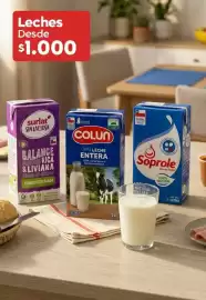 Catálogo Super Bodega a Cuenta Página 1: Surlat - leches €1.000,00