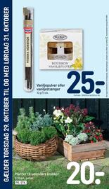 REMA 1000 tilbudsavis Side 8: Planter til udendørs krukker €20,00, Veribest Bourbon Vaniljepulver €25,00