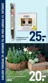 REMA 1000 tilbudsavis Side 8: Planter til udendørs krukker €20,00, Veribest Bourbon Vaniljepulver €25,00