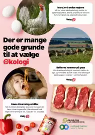 Netto tilbudsavis uge 44 Side 4: Der er mange gode grunde til at vælge Økologi Mere jord under neglene Når du køber