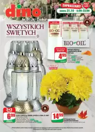 Dino gazetka Strona 1: Znicz szklany LA619 €3,49, Chryzantema średniokwiatowa €14,99