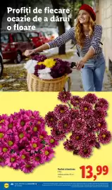 Catalog Lidl săptămâna 45 Pagină 60