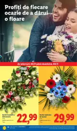Catalog Lidl săptămâna 45 Pagină 62: Buchet multicolor de toamnă €29,99, Buchet trandafiri și Alstroemeria €22,99