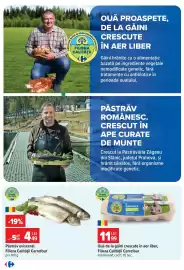 Catalog Carrefour Pagină 5: Filiera Calității Carrefour Păstrăv eviscerat €4,49, Filiera Calității Carrefour Ouă €11,99
