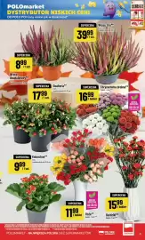 Polomarket gazetka tydzień 44 Strona 5: POLOmarket DYSTRYBUTOR NISKICH CEN! DO POLO PO! Ceny niskie jak w dyskoncie!*