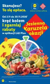 Lidl gazetka Strona 52