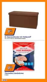 Action Flugblatt woche 44 Seite 22