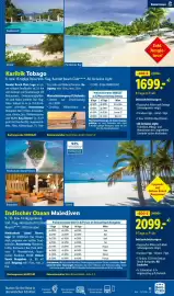 Lidl Flugblatt Seite 11