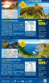 Lidl Flugblatt Seite 17