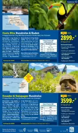 Lidl Flugblatt Seite 23