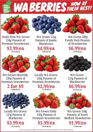 Farmer Jack's catalogue week 44 Page 3: WA Grown Stella Premium Strawberries €5,99, WA Grown Jumbo Blueberries €4,99