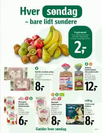 Føtex tilbudsavis Side 24: Kohberg familierugbrød eller protein boller €12,00, Salling ØKO Økologisk fuldkornspasta €8,00