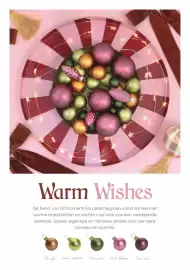 Coppelmans folder week 44 Pagina 12