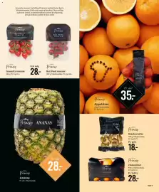 Bilka tilbudsavis Side 8: Princip Intensity tomater €28,00, Princip Red Pearl tomater €140,00