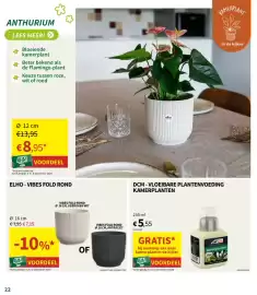 Horta folder Pagina 22: Dcm - vloeibare plantenvoeding kamerplanten €5,55, Vibes fold rond €7,15