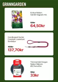 Granngården kampanjblad Sida 4: Krokus Nelson Garden bigpack mix €64,50