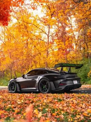 Porsche (valid until 2-11)