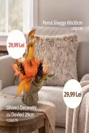 Catalog Jumbo Pagină 3: Pernă Shaggy €29,99
