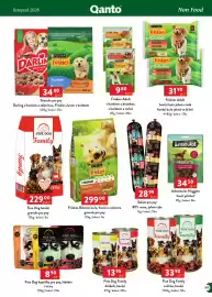 Qanto leták Strana 169: Fine Dog kapsičky pro psy, štěňata €890,00, Friskies Balance kuře, hovězí a zelenina €299,00