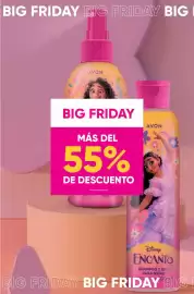 Catálogo AVON Página 85