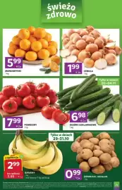 Stokrotka Express gazetka tydzień 44 Strona 1: Ogórki szklarniowe €6,98, Cebula €1,99